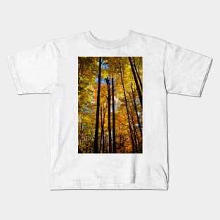 Tree Tops in Fall Kids T-Shirt